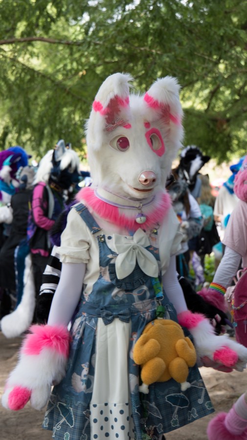 Eurofurence 29