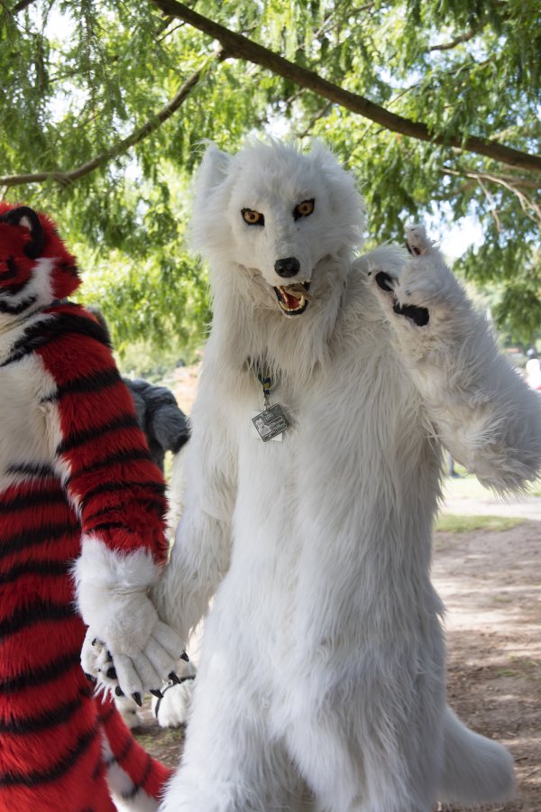 Eurofurence 29