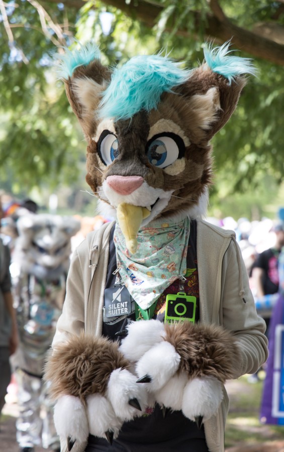 Eurofurence 29