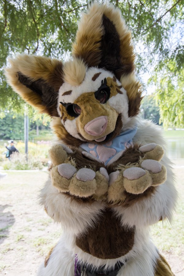 Eurofurence 29