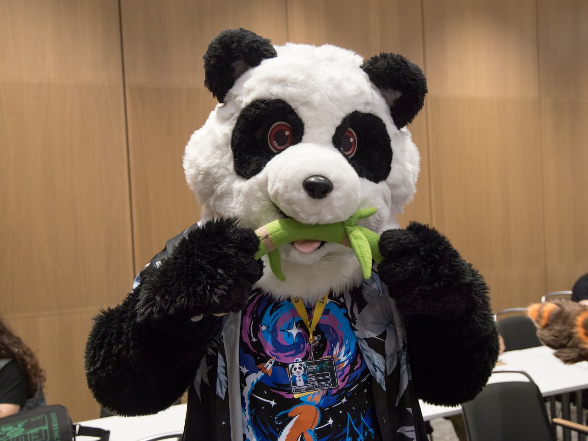 Eurofurence 29