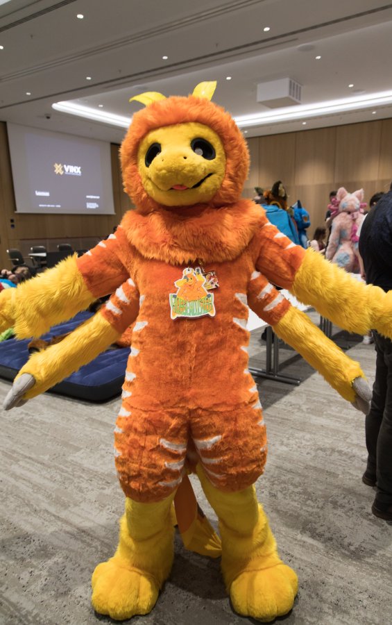 Eurofurence 29