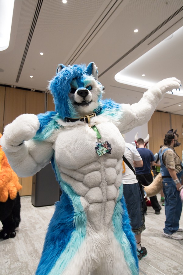 Eurofurence 29