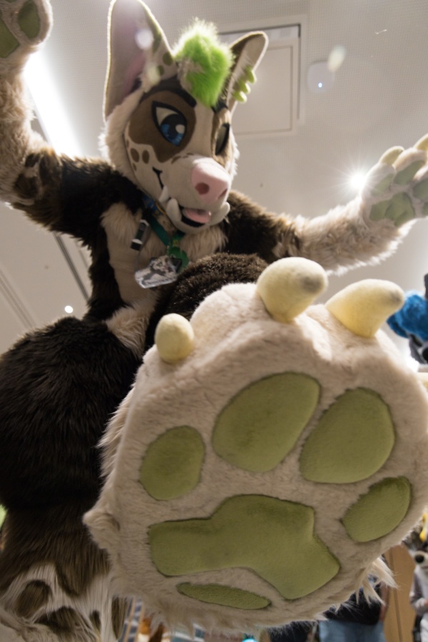 Eurofurence 29