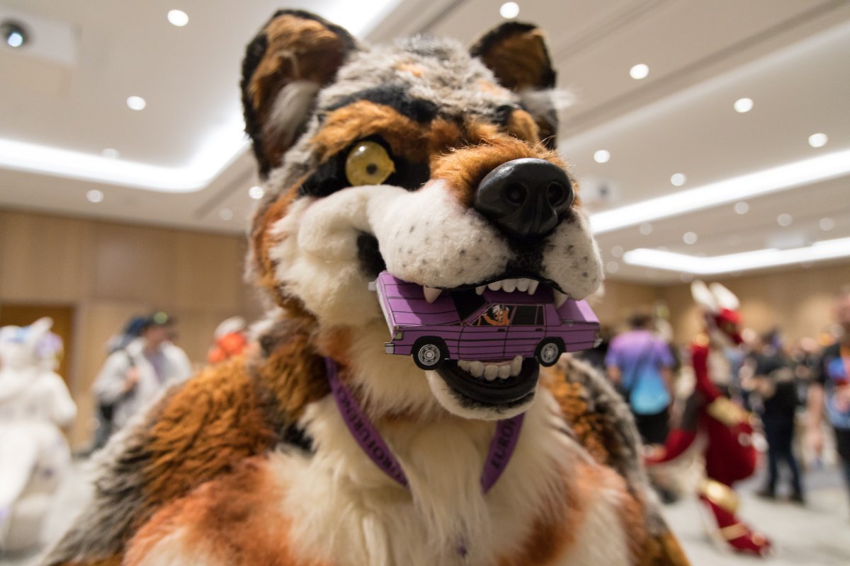 Eurofurence 29
