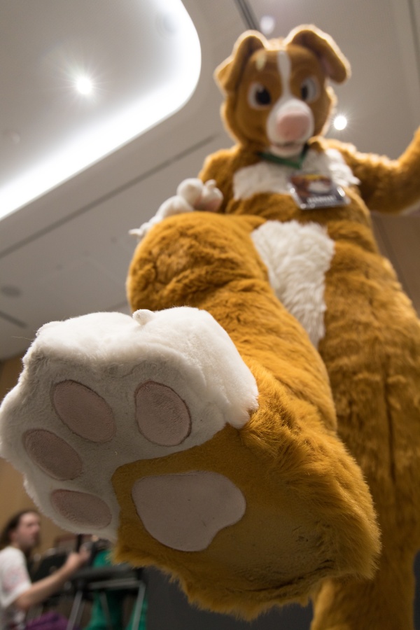 Eurofurence 29, Fursuits indoors