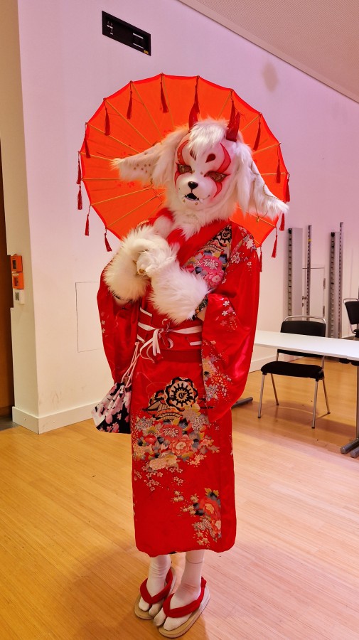 Eurofurence 29
