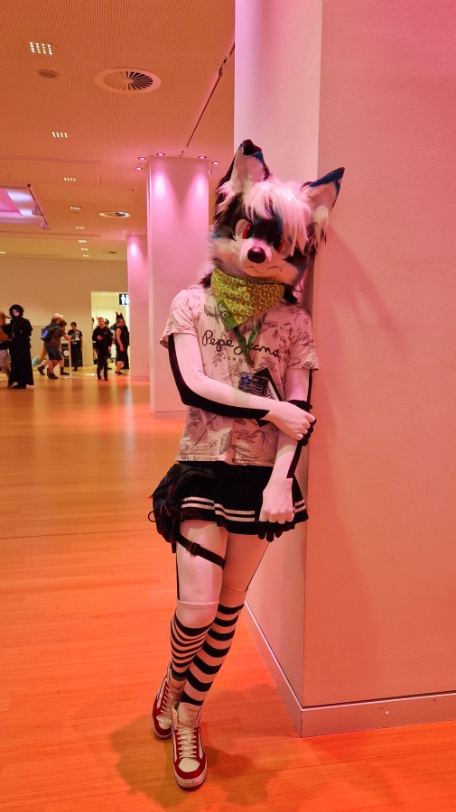 Eurofurence 29