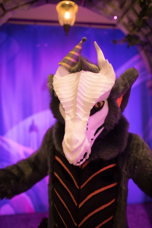 Eurofurence 29, Fursuits indoors