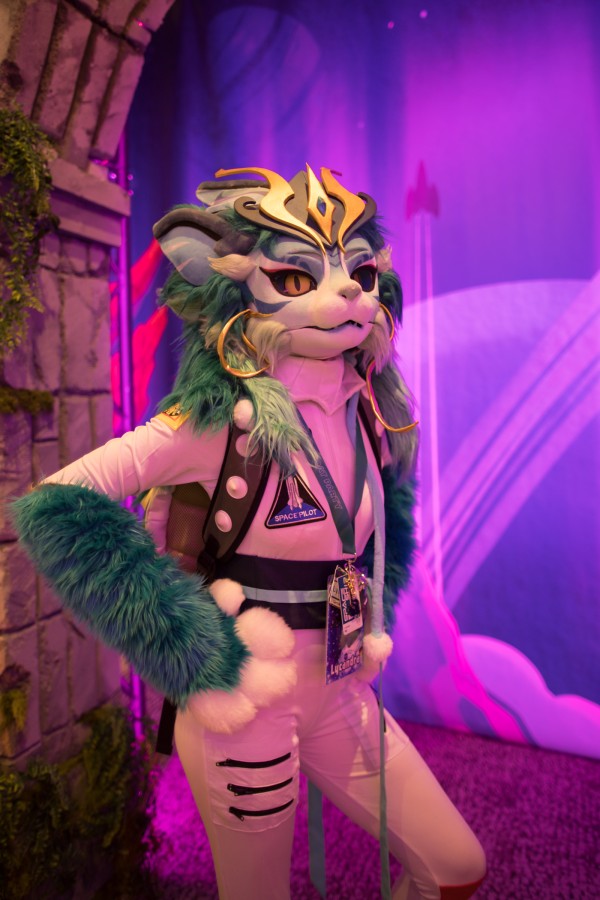 Eurofurence 29