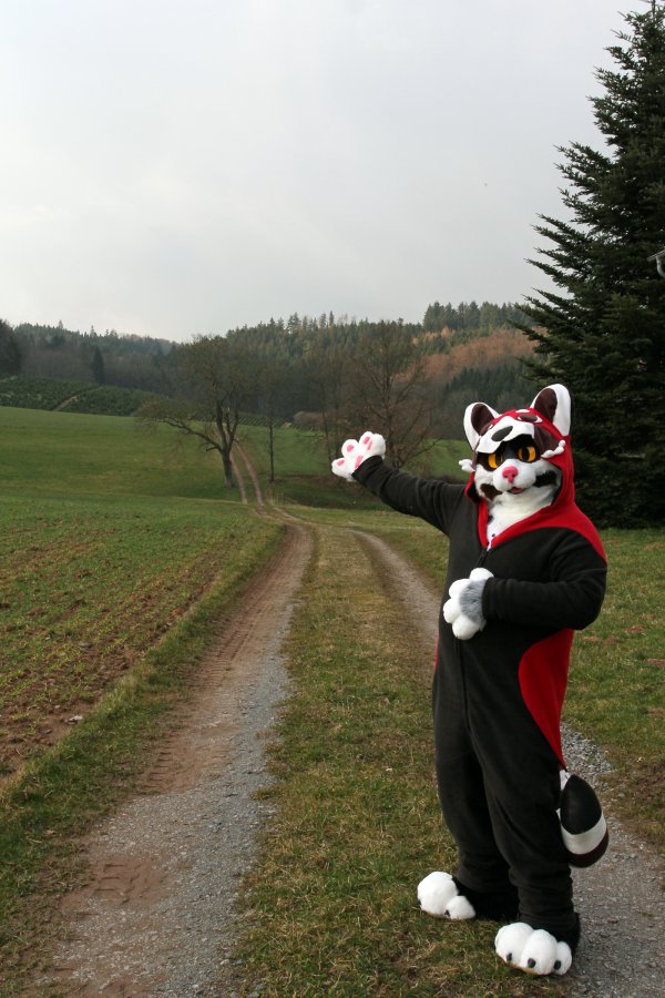 Fellig 100, Fursuiters