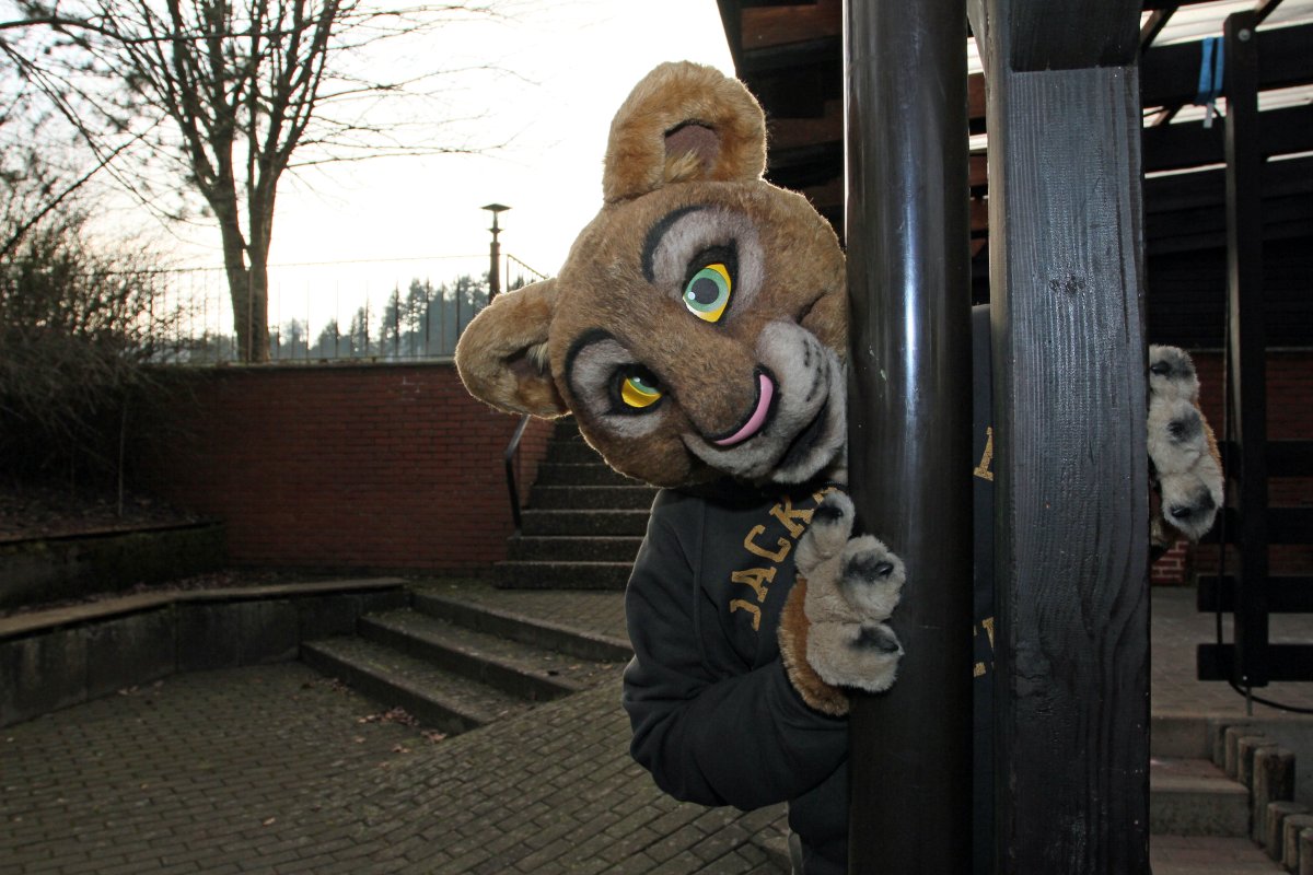 Fellig 100, Fursuiters