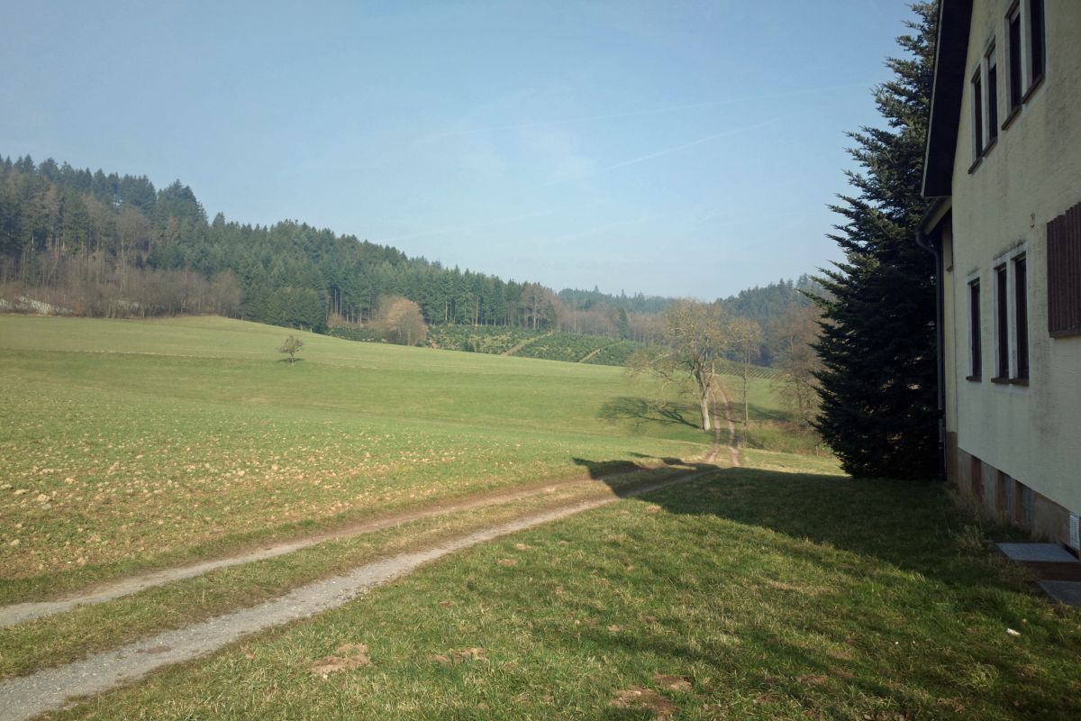 Fellig 100, Other photos