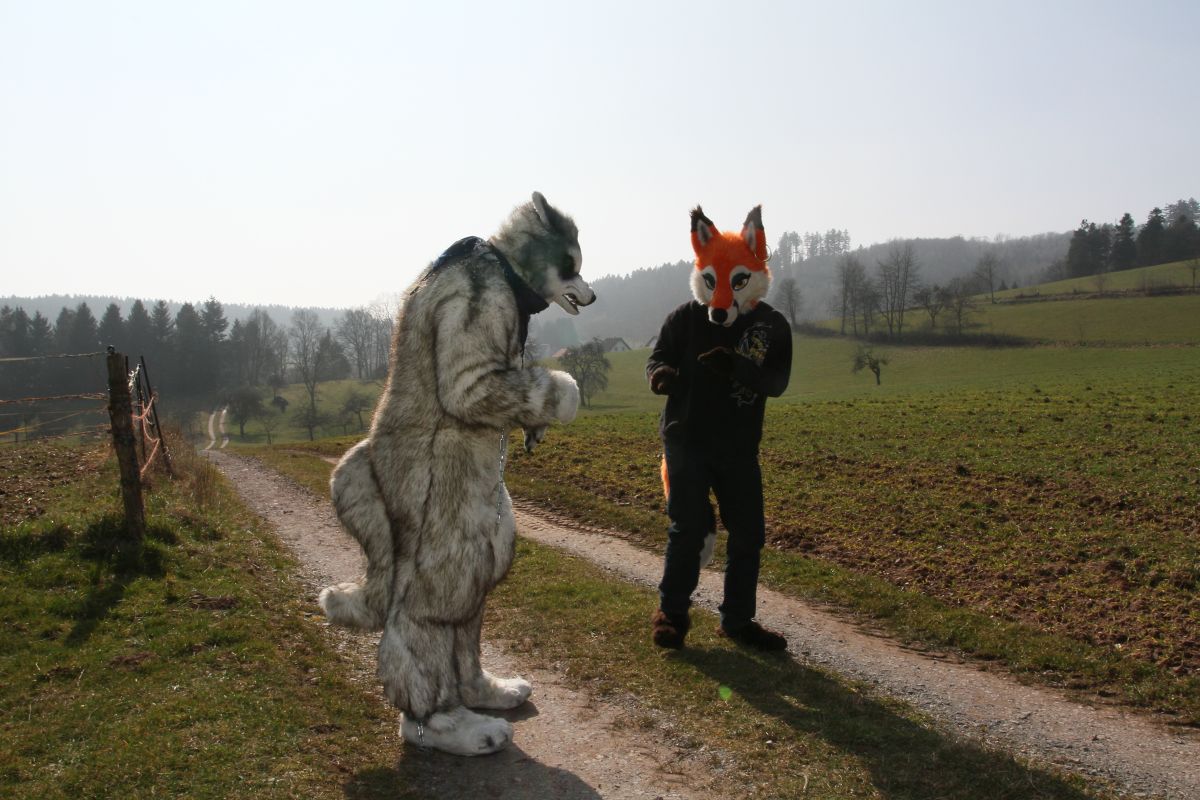 Fellig 100, Fursuiters