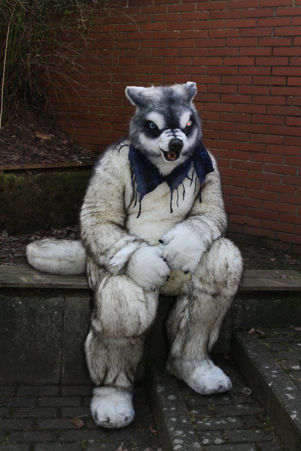 Fellig 100, Fursuiters