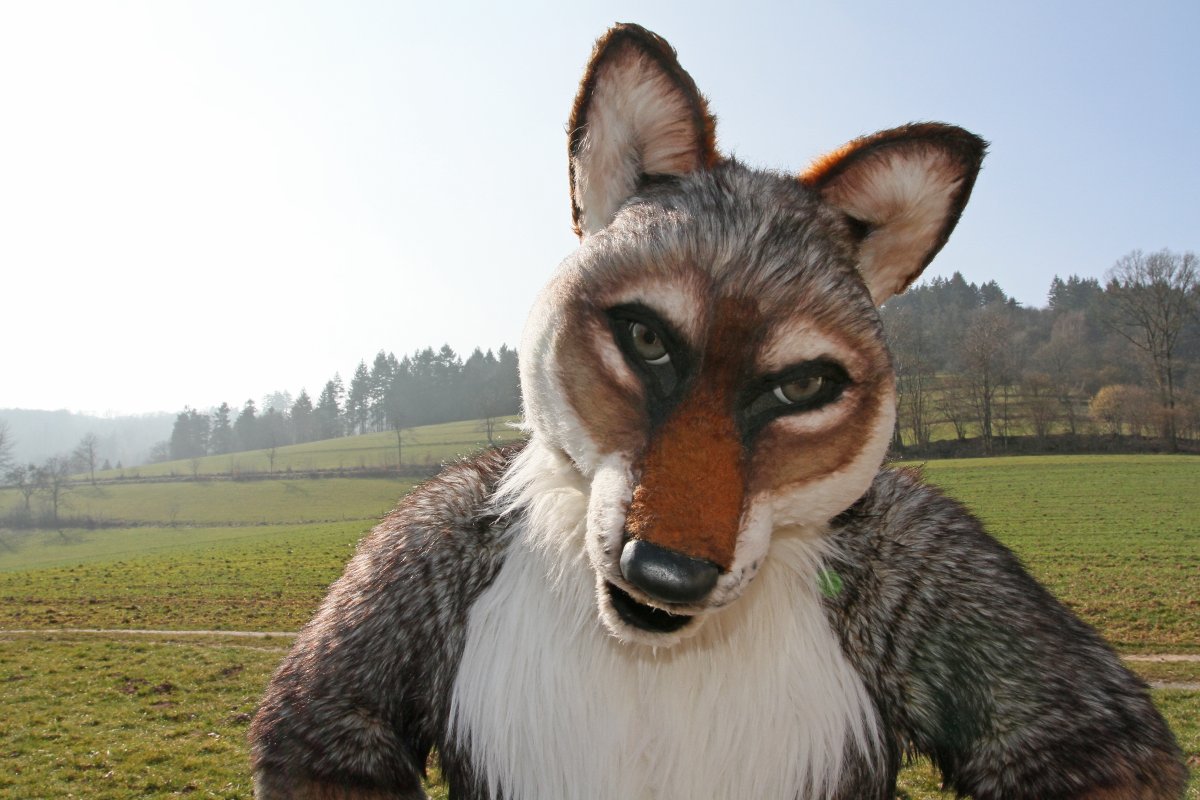 Fellig 100, Fursuiters