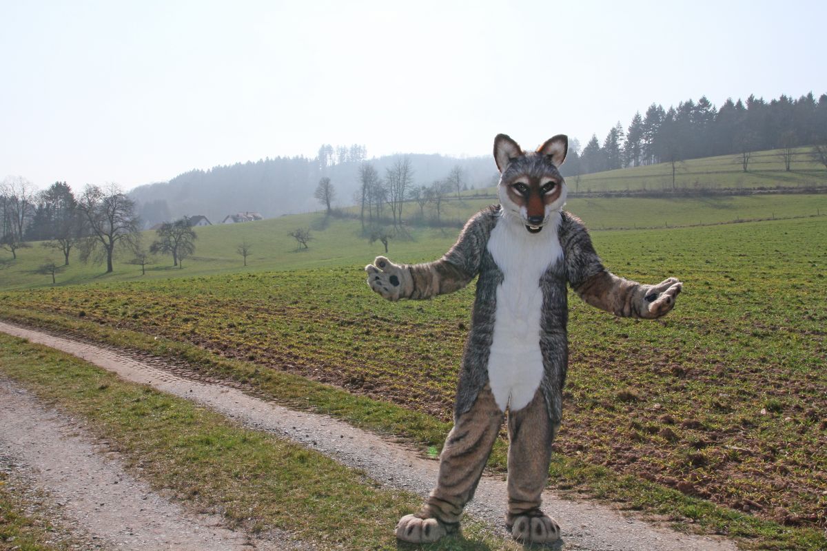Fellig 100, Fursuiters