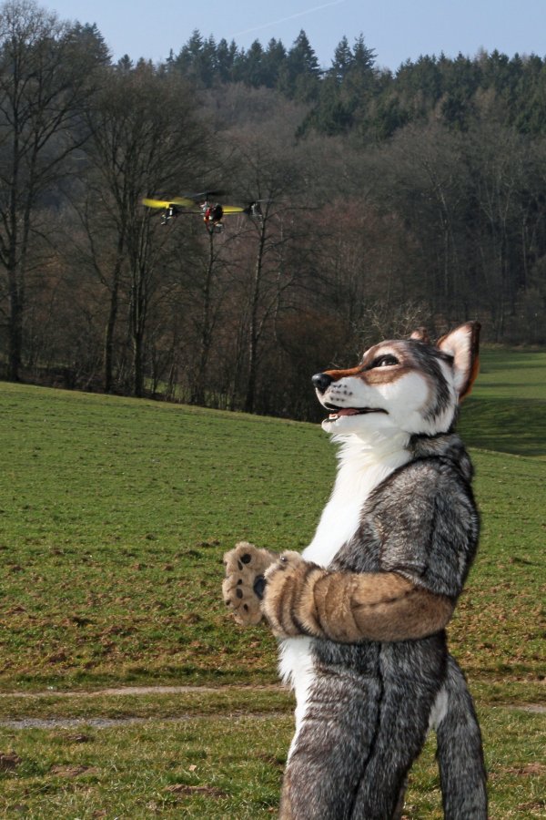 Fellig 100, Fursuiters