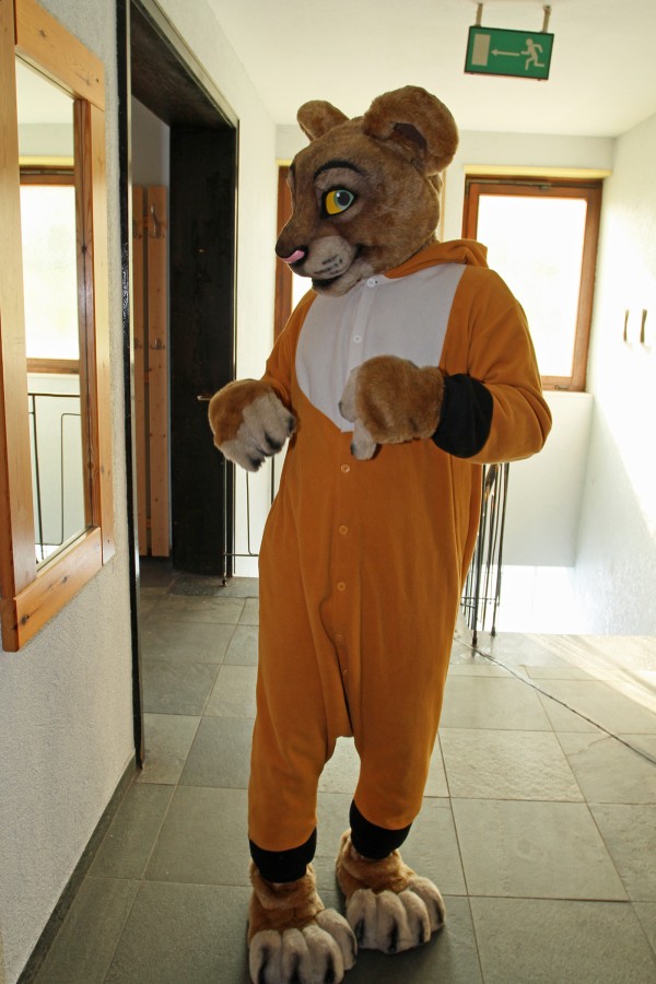 Fellig 100, Fursuiters