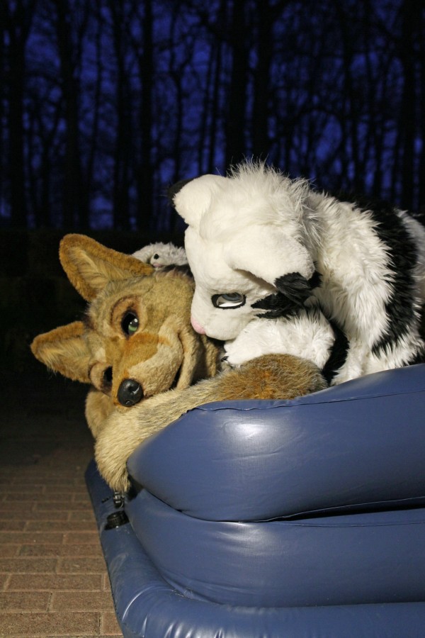 Fellig 100, Fursuiters
