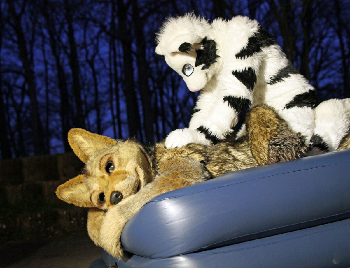 Fellig 100, Fursuiters