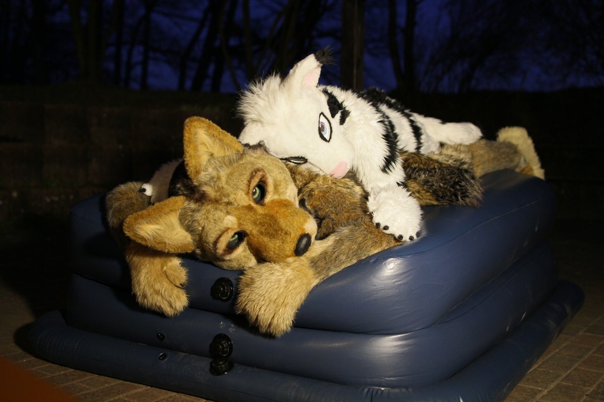 Fellig 100, Fursuiters