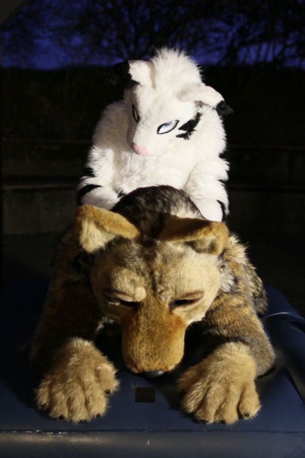 Fellig 100, Fursuiters