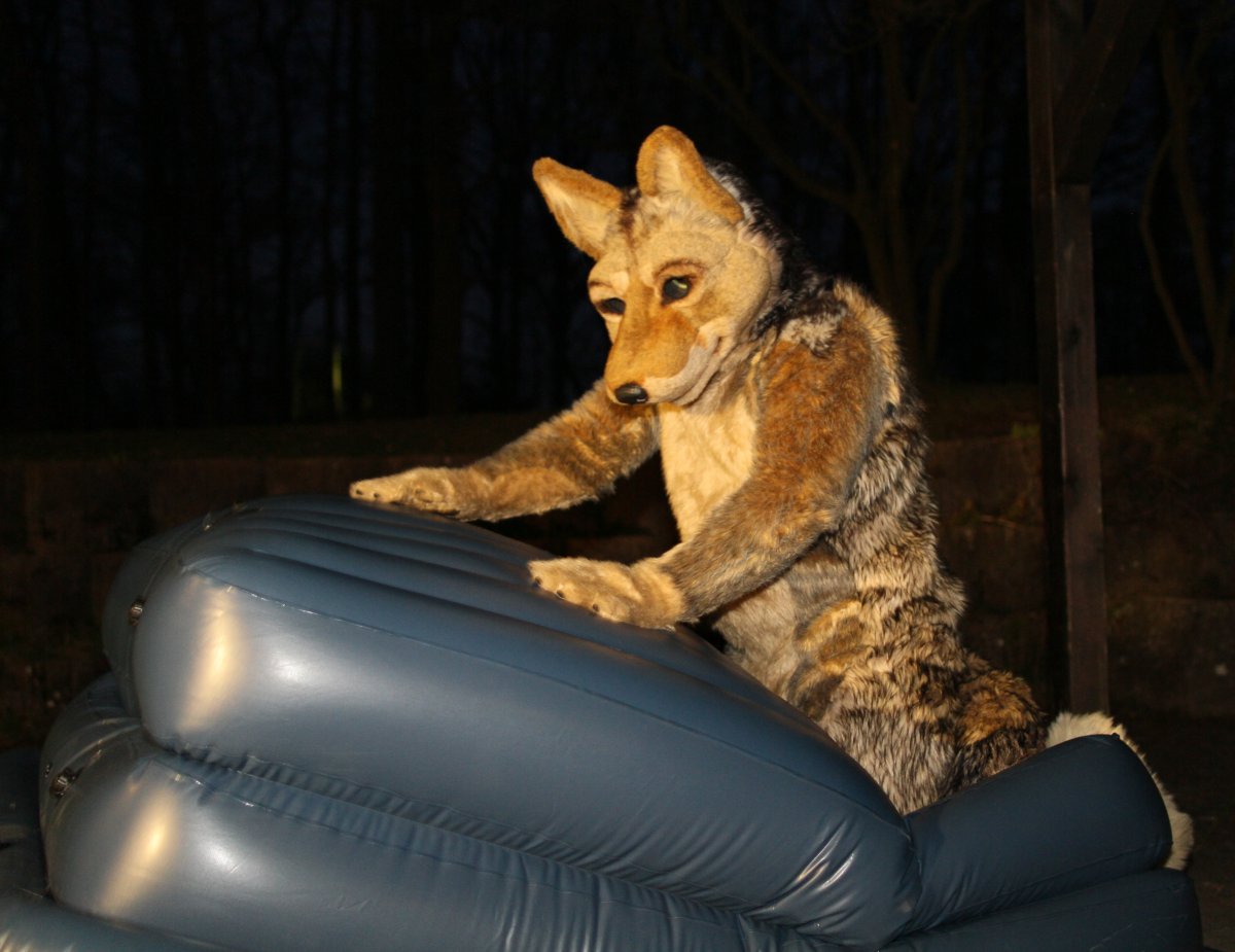 Fellig 100, Fursuiters