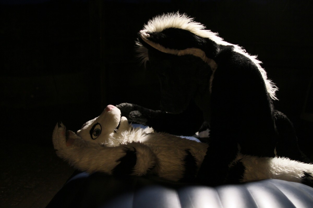 Fellig 100, Fursuiters