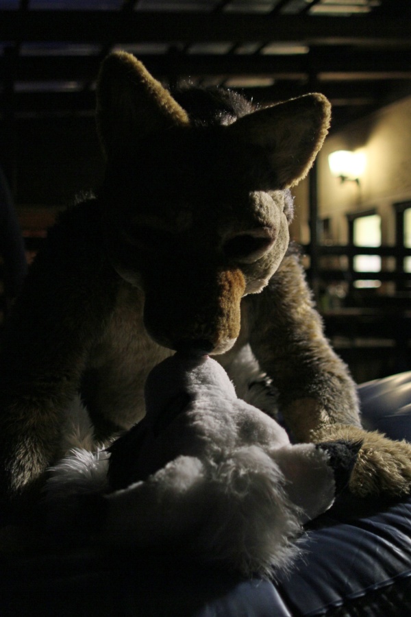 Fellig 100, Fursuiters