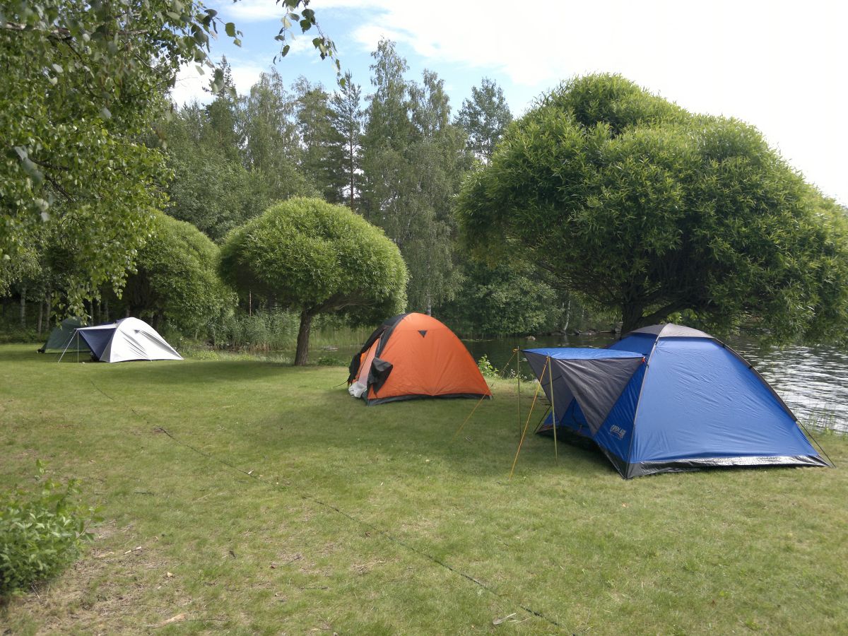 FinFur Summer Camp 2012
