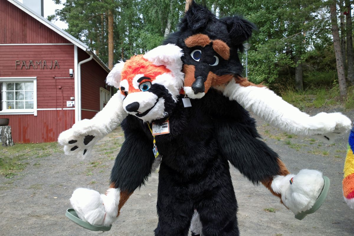 FinFur Summer Camp 2013, Furry camping photos