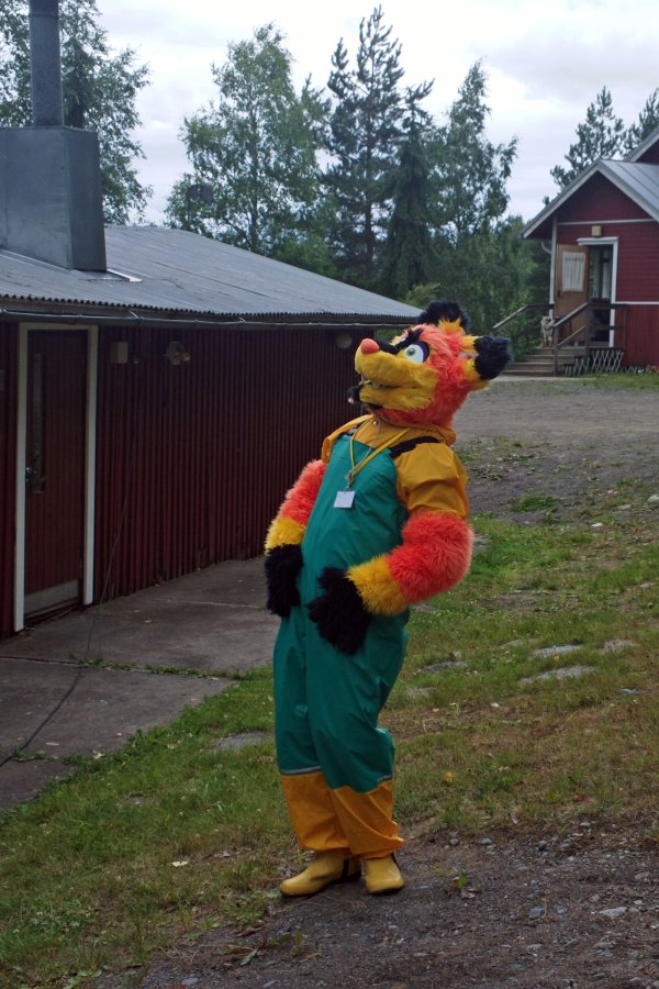 FinFur Summer Camp 2013, Furry camping photos