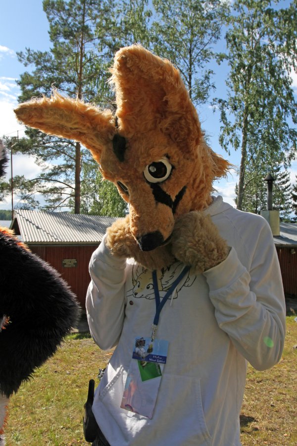 FinFur Summer Camp 2013, Furry camping photos