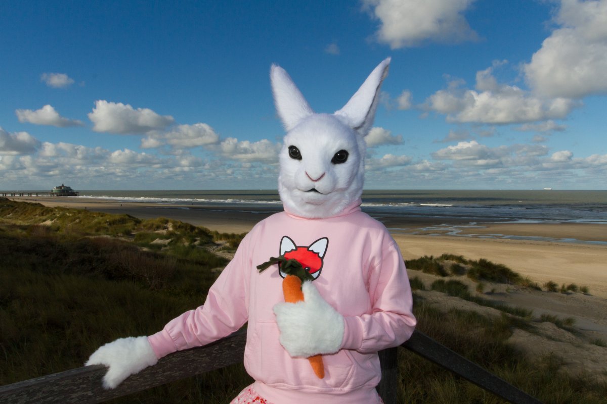 Flüüfff 2018, Lumie bunny
