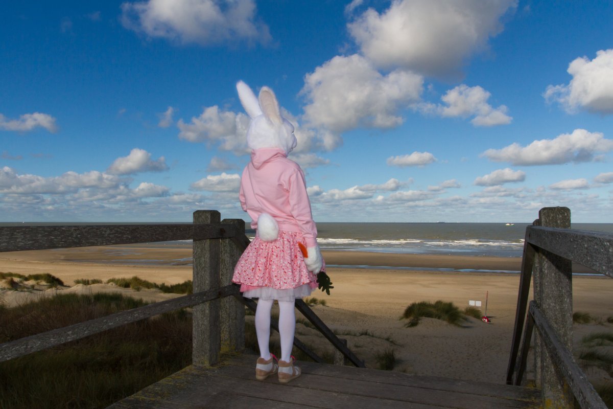 Flüüfff 2018, Lumie bunny
