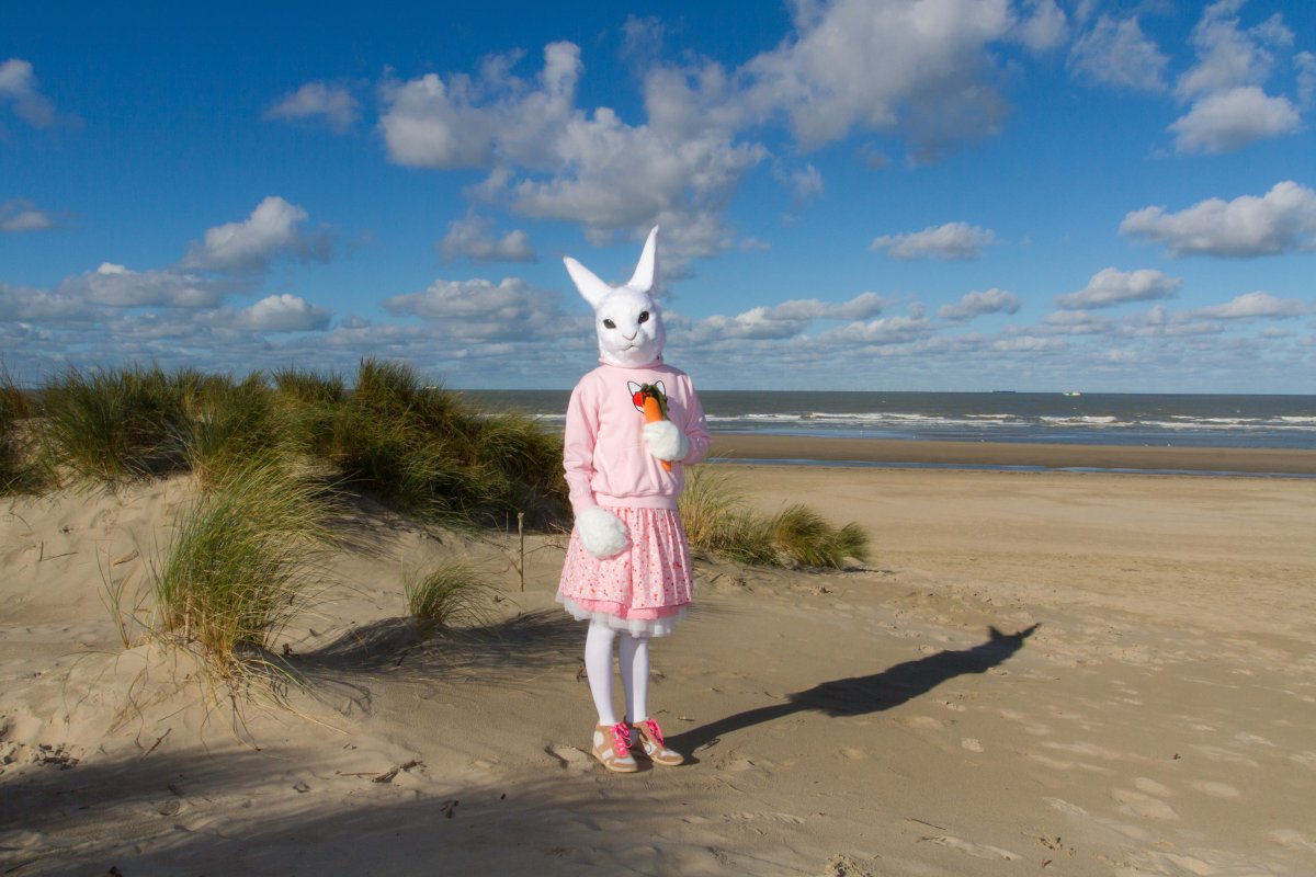 Flüüfff 2018, Lumie bunny