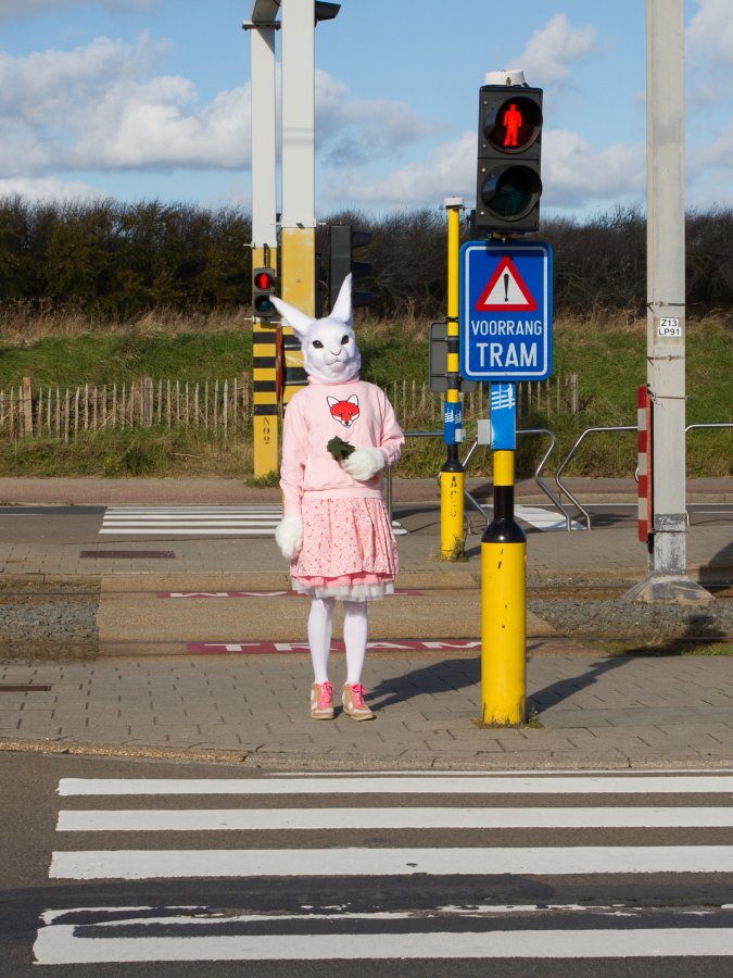 Flüüfff 2018, Lumie bunny