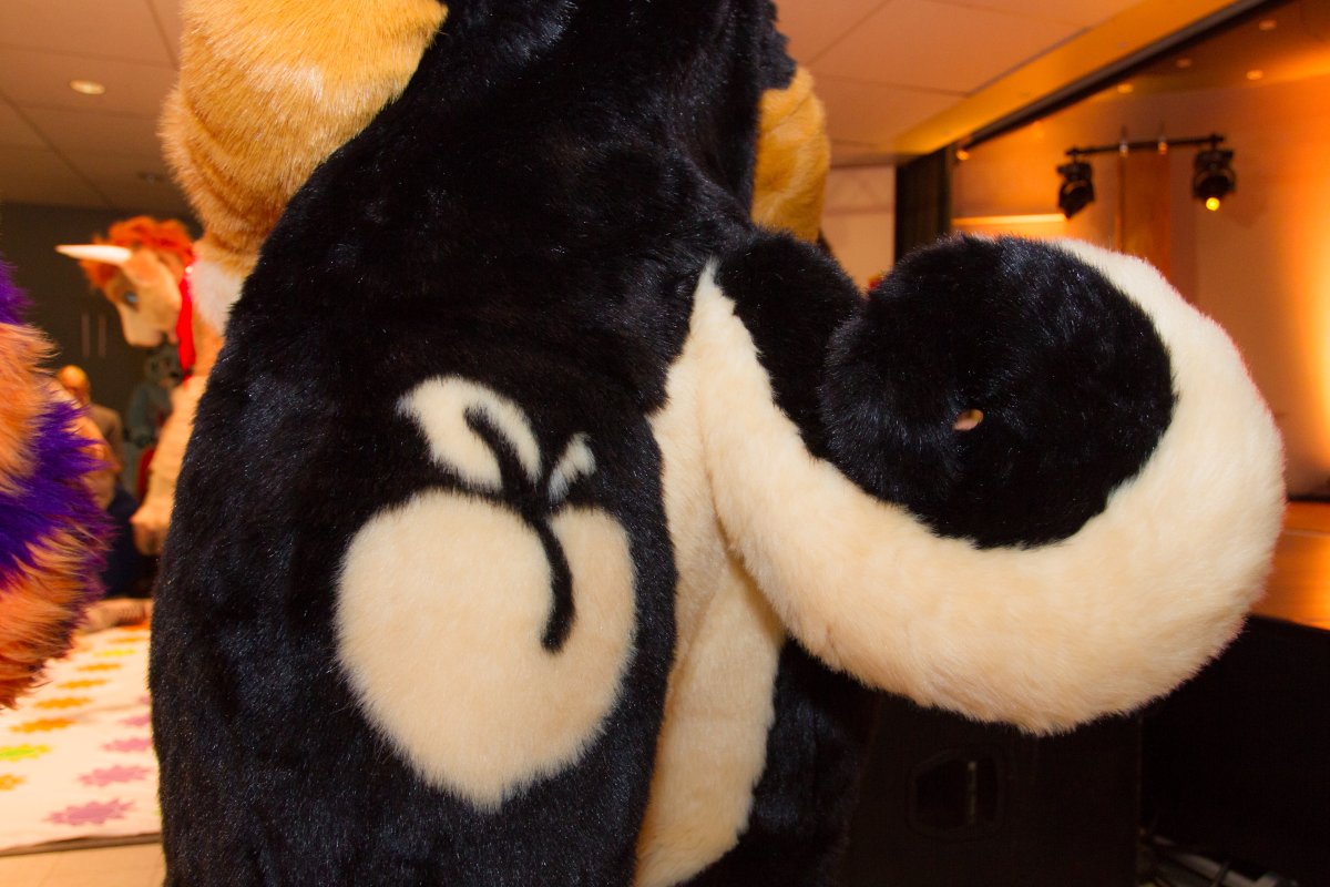 Flüüfff 2018, Convention photos