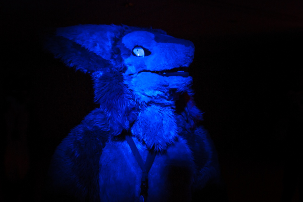 Flüüfff 2018, Convention photos