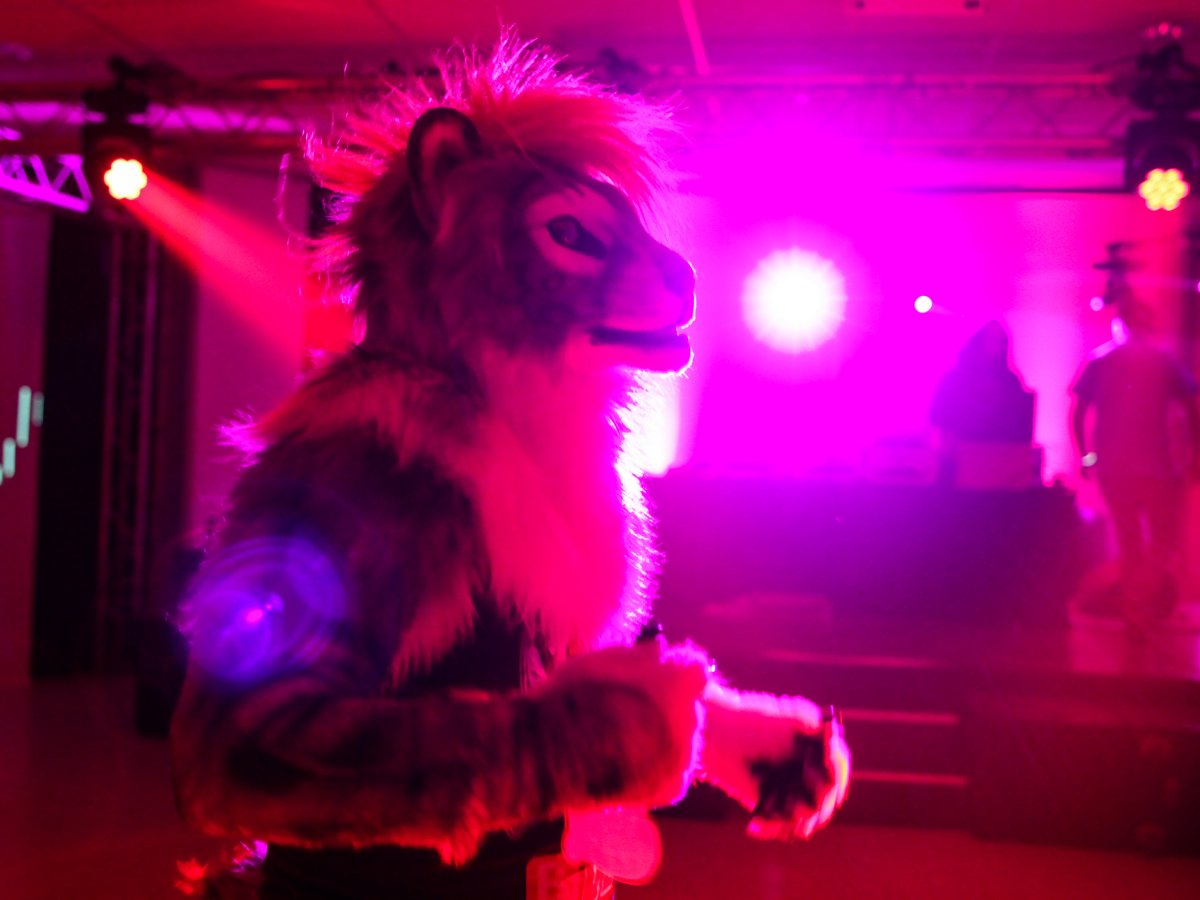 Flüüfff 2018, Convention photos