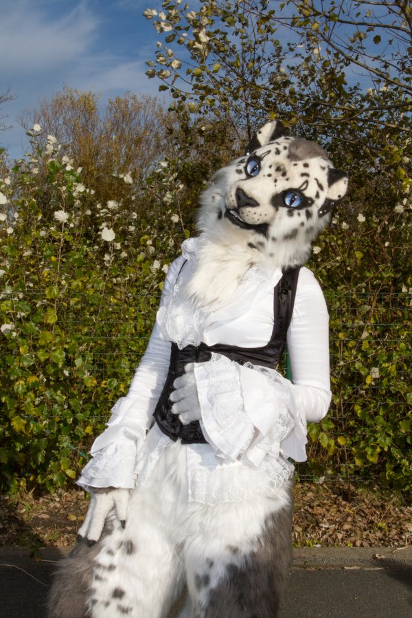 Flüüfff 2018, Convention photos