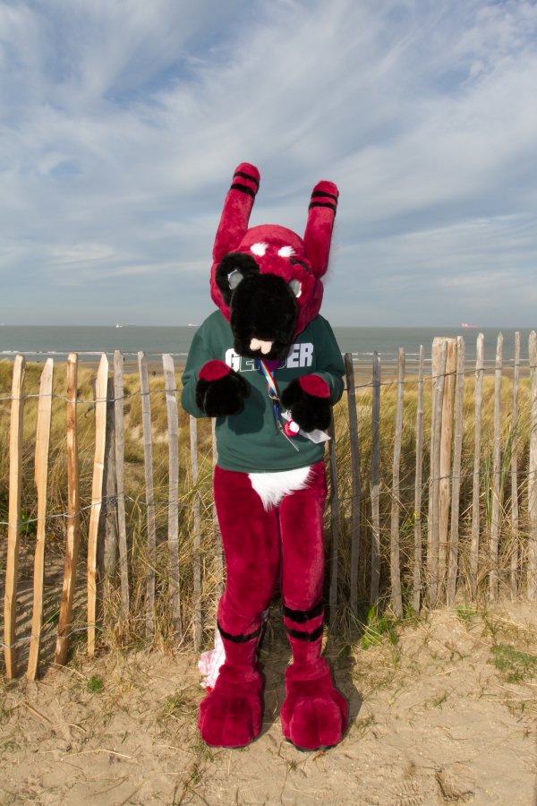 Flüüfff 2018, Beach photos