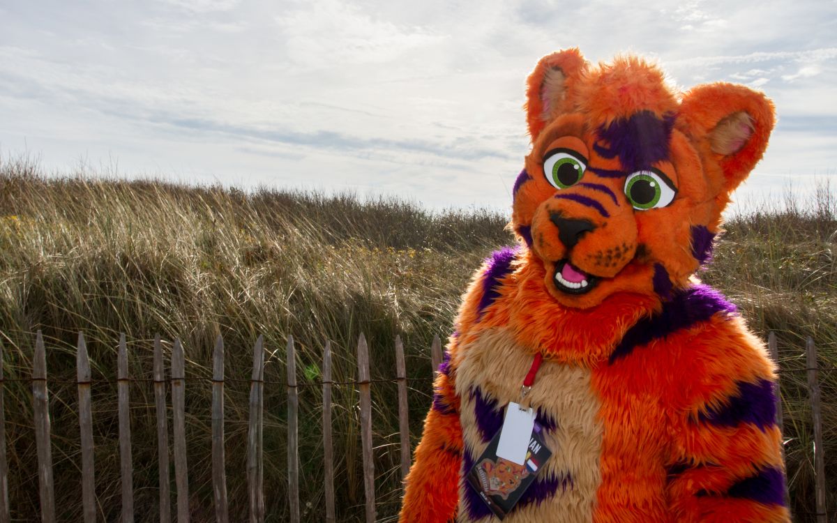 Flüüfff 2018, Beach photos