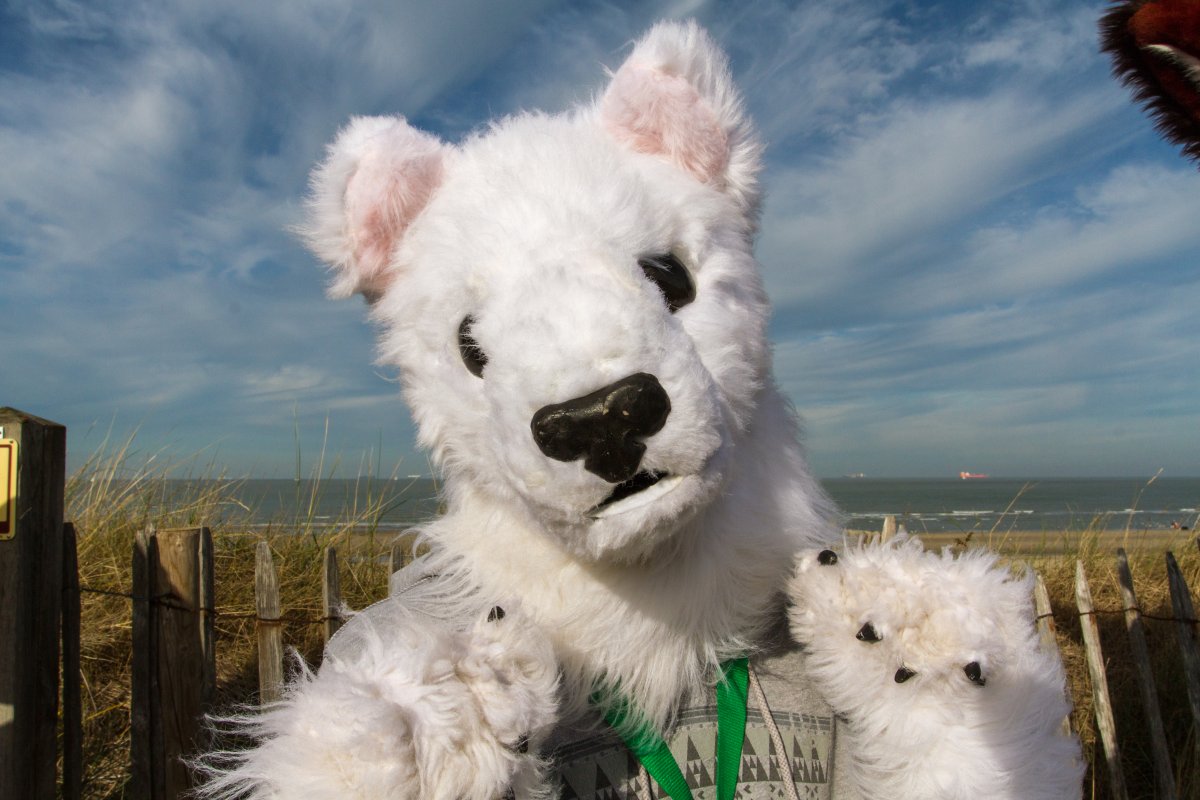 Flüüfff 2018, Beach photos