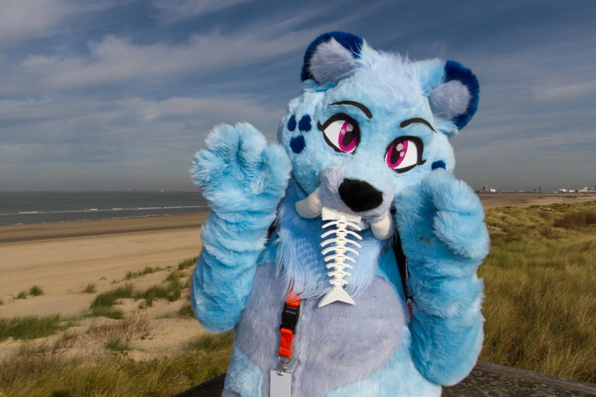 Flüüfff 2018, Beach photos