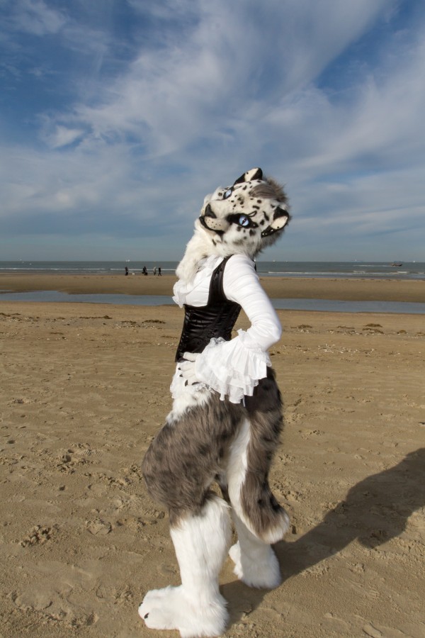 Flüüfff 2018, Beach photos