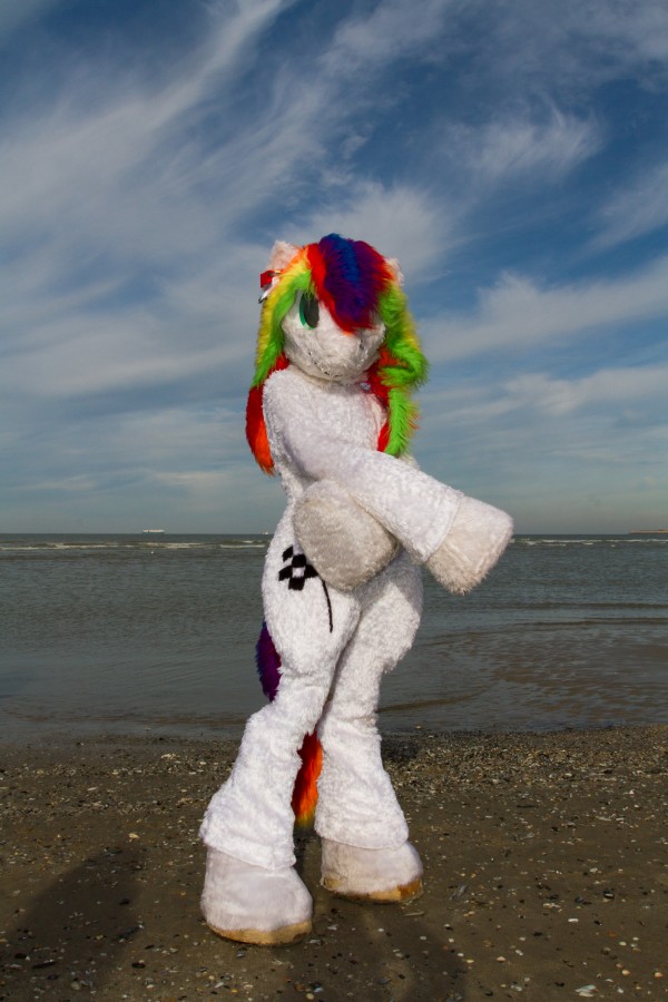 Flüüfff 2018, Beach photos