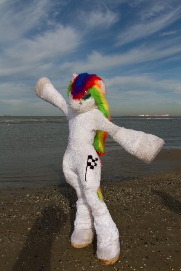 Flüüfff 2018, Beach photos