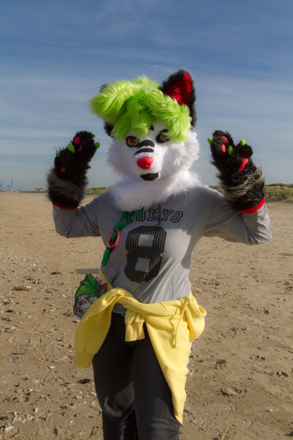 Flüüfff 2018, Beach photos